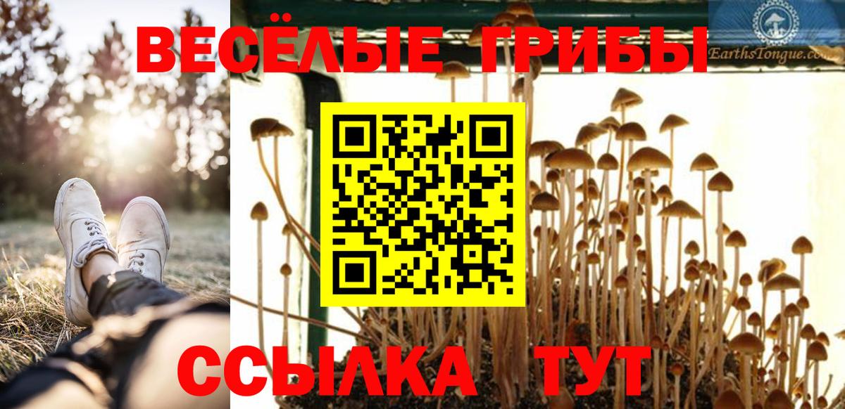 Галлюциногенные грибы мицелий  Галлюциногенные грибы ЛСД  Видное  Вход с VPN 