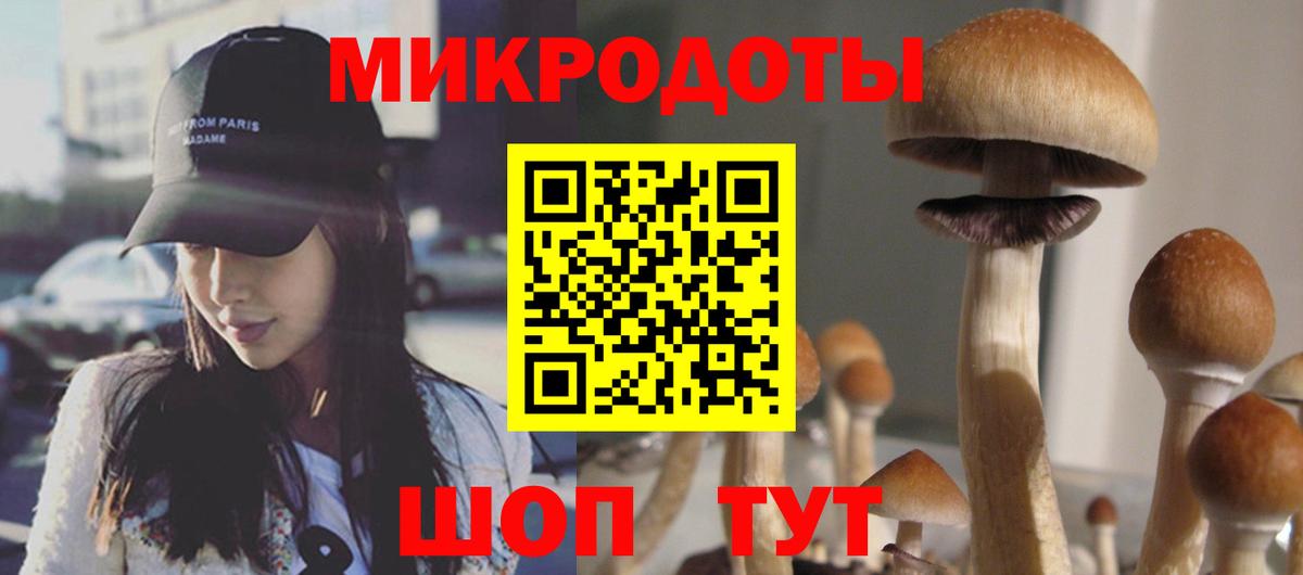 Галлюциногенные грибы Psilocybine cubensis Видное